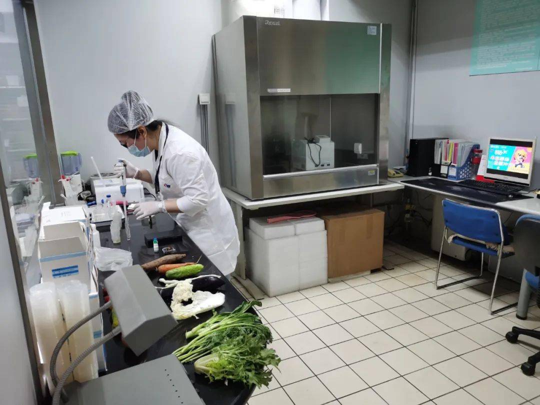小店食品检测实验室装修方案